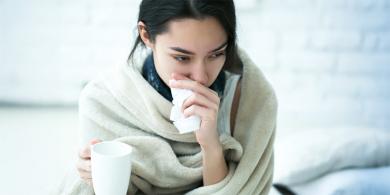 Defensas a punto para el frío Defensas a punto para el frío