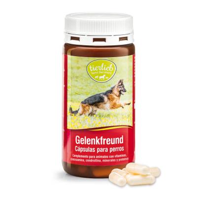 Cebanatural Jointfit for dogs